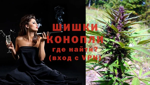 apvp Белокуриха