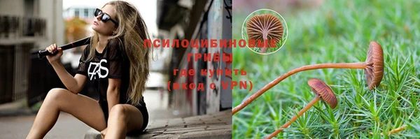 apvp Белокуриха