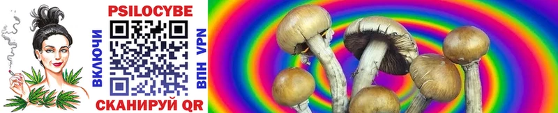 что такое   Буйнакск  Галлюциногенные грибы GOLDEN TEACHER 